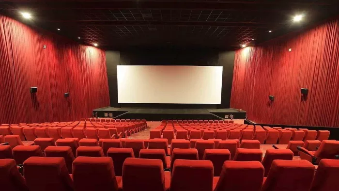 पाकिस्तान में बंद होते जा रहे हैं मूवी थिएटर? (Photo Credit- X)