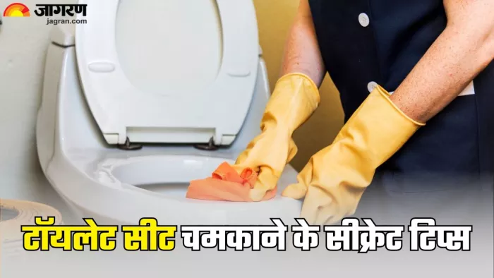 ऐसे छुड़ाएं टॉयलेट सीट के जिद्दी दाग (Picture Credit- Freepik)