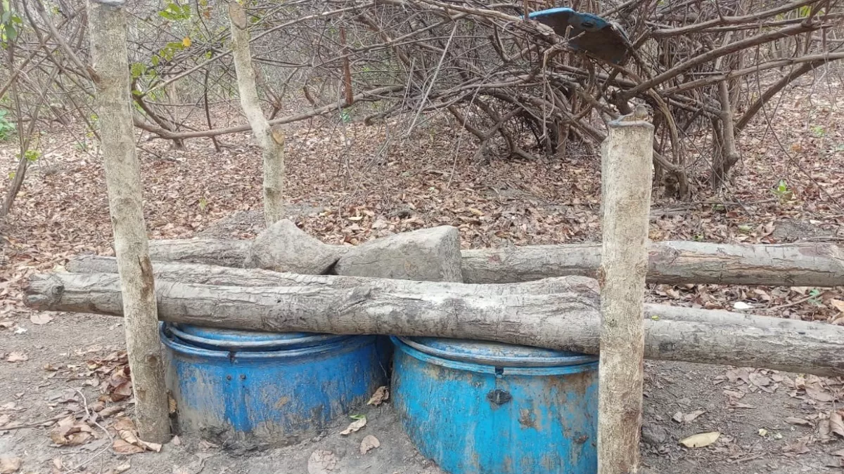 बिहार शराबबंंदी का सतगावां में असर: शराब भट्ठि‍यों में झोंके जा रहे जंगल के हरे पेड़, युवा अवैध धंधे में शामिल