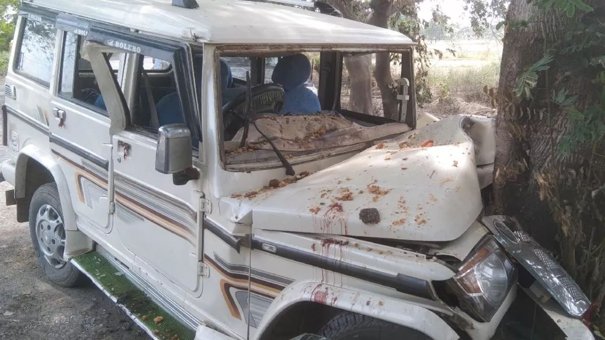 Bhadohi Accident: बारातियों से भरी बोलेरो पेड़ से टकराई, ड्राइवर की मौत; एक की हालत गंभीर