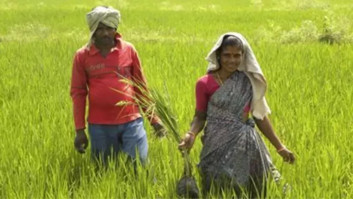 बिहार में किसानों को जैविक खेती के लिए किया जा रहा प्रोत्साहित।