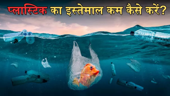 प्लास्टिक को कहें ना! इन इको-फ्रेंडली विकल्पों का करें इस्तेमाल
