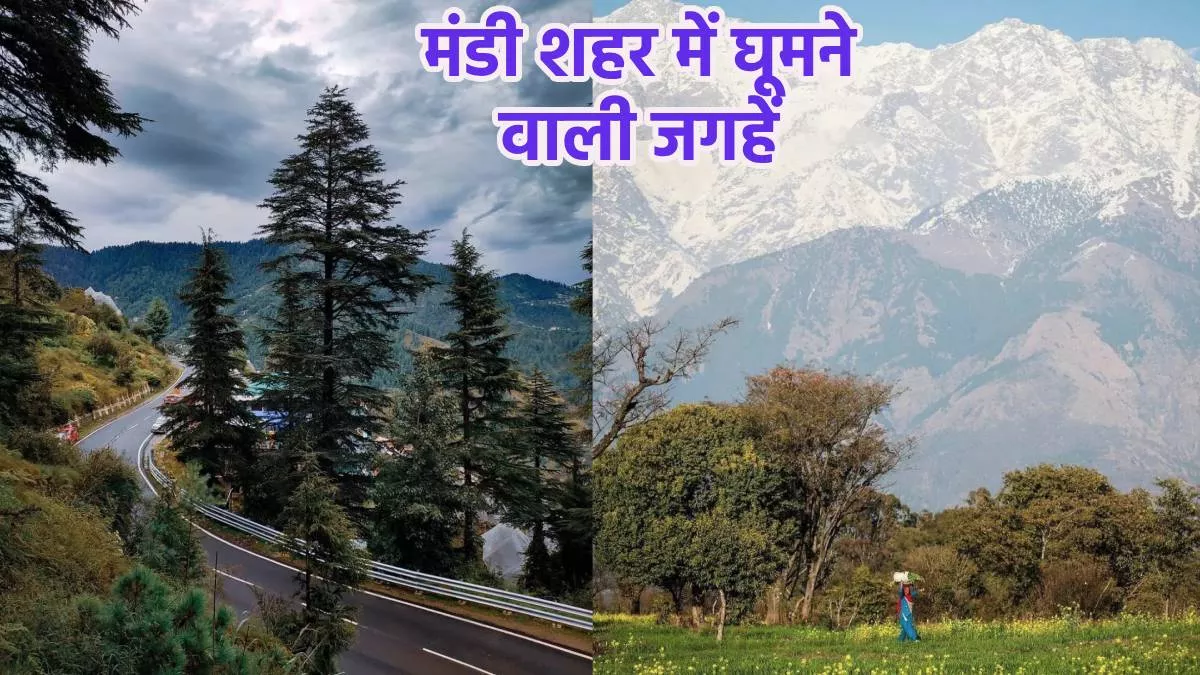 Budget Travel: 5 हजार के अंदर ढूंढ़ रहे हैं घूमने के लिए कोई अच्छी जगह, तो हिमाचल का मंडी शहर है बेस्ट ऑप्शन