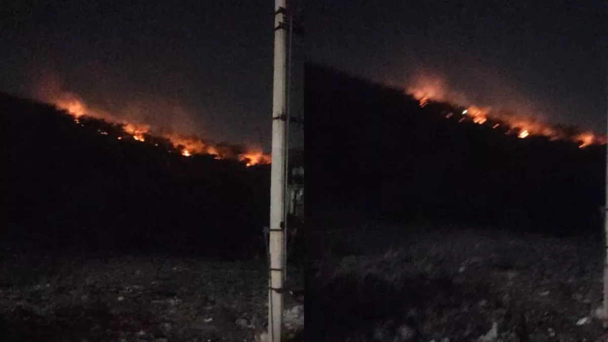 Delhi-Gurugram Border के पास लगी भयंकर आग, 6 गाड़ियों ने 2 दिन में पाया काबू; कितना हुआ नुकसान?