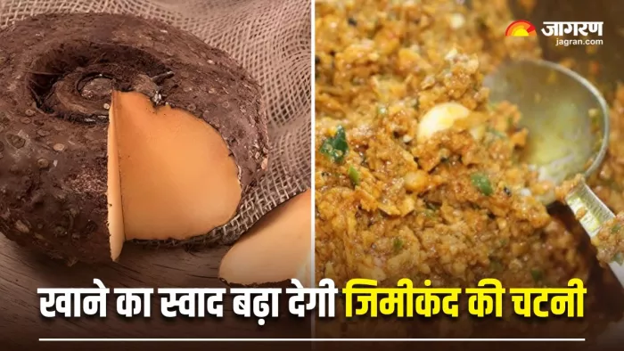 Jimikand Chutney Recipe: खाने का स्वाद दोगुना कर देगी जिमीकंद की लाजवाब चटनी (Image Source: Freepik)