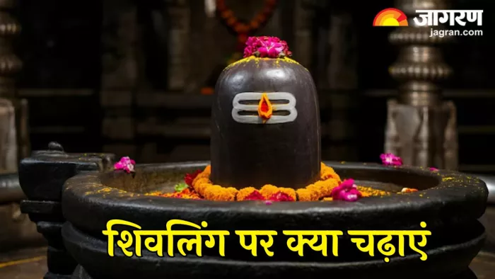 Lord Shiv: शिवलिंग के अभिषेक से बरसेगी महादेव की कृपा (Pic Credit- Freepik)