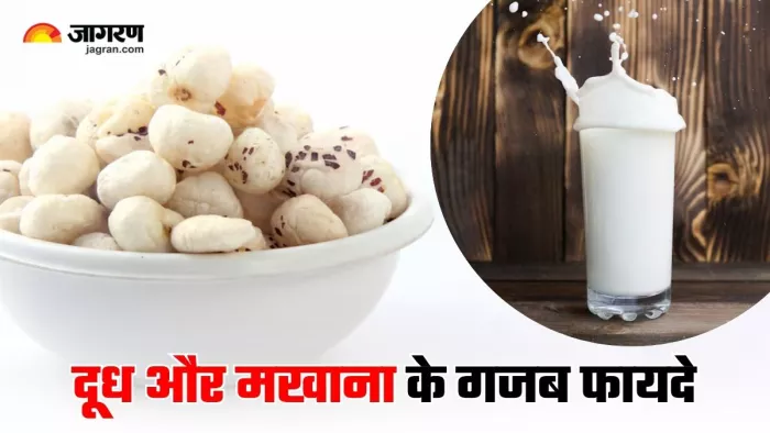 Makhana With Milk Benefits: दूध के साथ मखाना खाने के फायदे कर देंगे हैरान (Image Source: Freepik)
