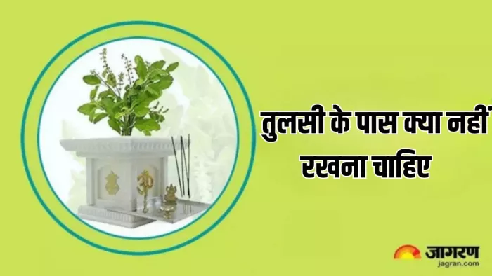 तुलसी से जुड़े इन नियम का करें पालन