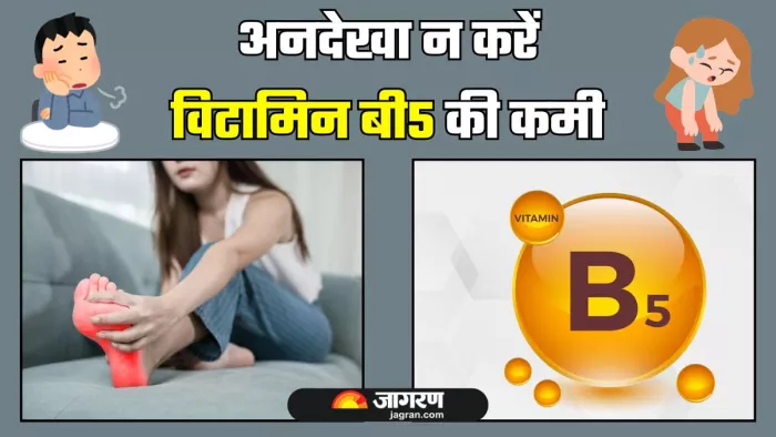 शरीर के लिए कितना जरूरी है Vitamin B5 और इसकी कमी से क्या हो सकता है? (Image Source: Freepik)