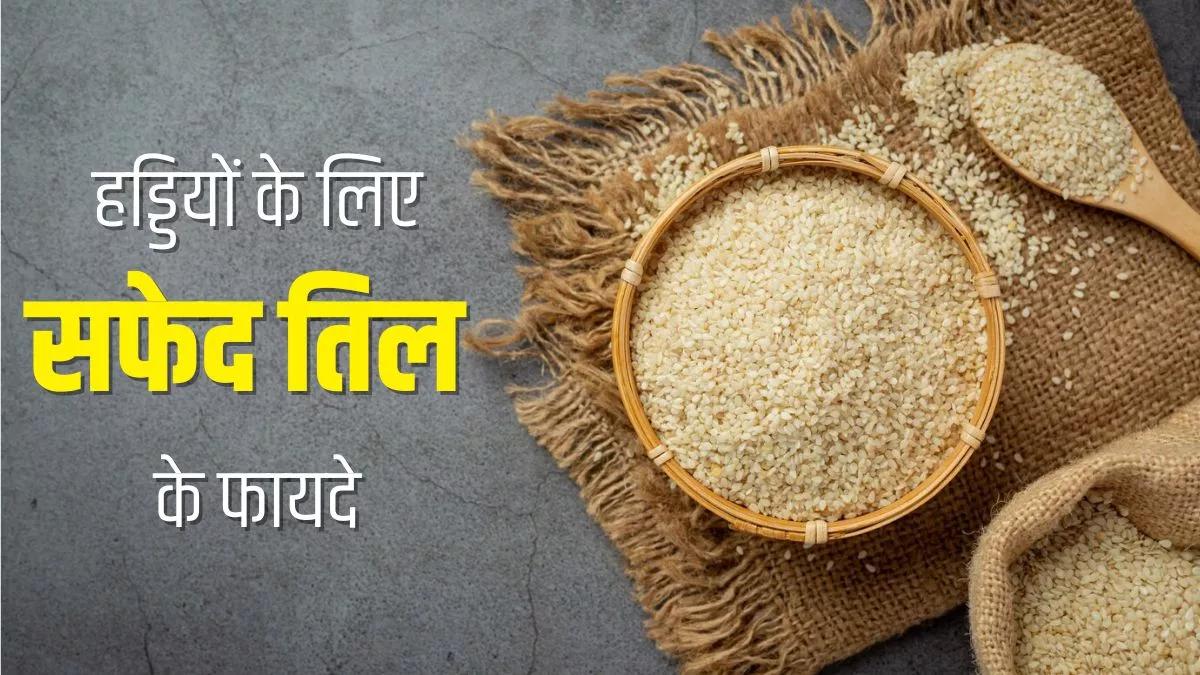 शरीर में हो गई है Calcium की कमी, तो खाना शुरू कर दें ये सफेद बीज; हड्डियों में भर जाएगी फौलाद सी ताकत