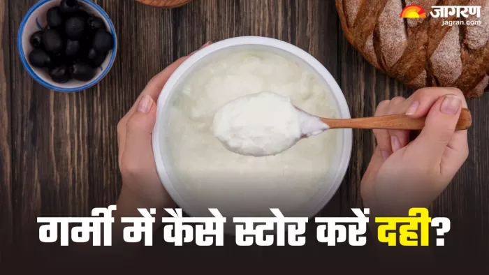 गर्मियों में क्यों खट्टा हो जाता है दही? (Picture Credit- Freepik)