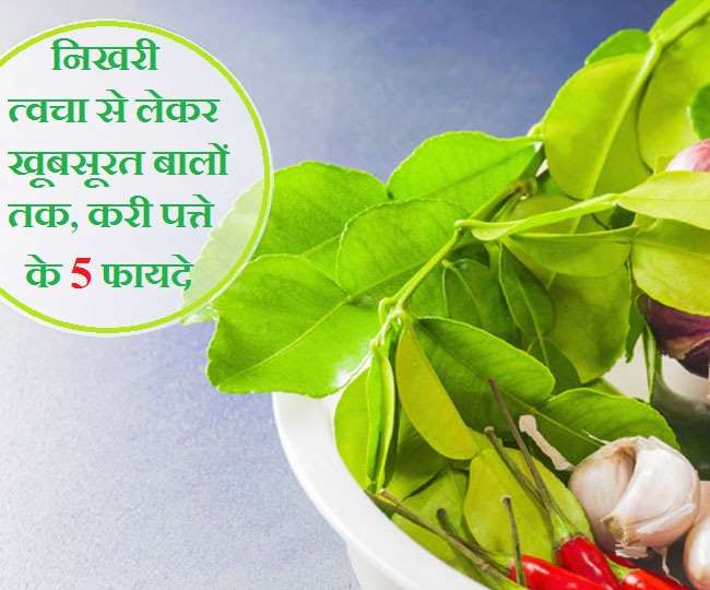 Curry Leaves For Beautiful Skin: मुठ्ठी भर करी पत्ते देगा बेदाग़ और खूबसूरत त्वचा, इन 5 तरीकों से करें इस्तेमाल - Curry Leaves Benefits For Radiant Soft Skin And Beautiful Healthy Hair Curry Leaves For Beautiful Skin: मुठ्ठी भर करी पत्ते देगा बेदाग़ और खूबसूरत त्वचा, इन 5 तरीकों से करें इस्तेमाल - Curry Leaves Benefits For Radiant Soft Skin And Beautiful Healthy Hair