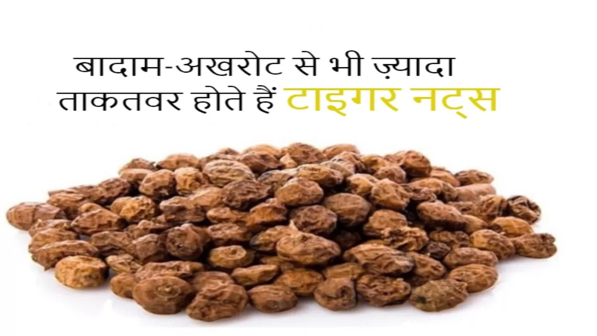 Tiger Nuts Benefits: डायबिटीज़ के मरीज़ों के लिए हैं अमृत से कम नहीं हैं 'टाइगर नट्स'