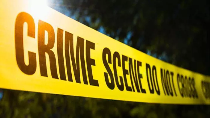 Himachal Pradesh: शिमला पुलिस का नशे के खिलाफ विशेष अभियान, काले कारोबार में महिलाओं का भी हाथ