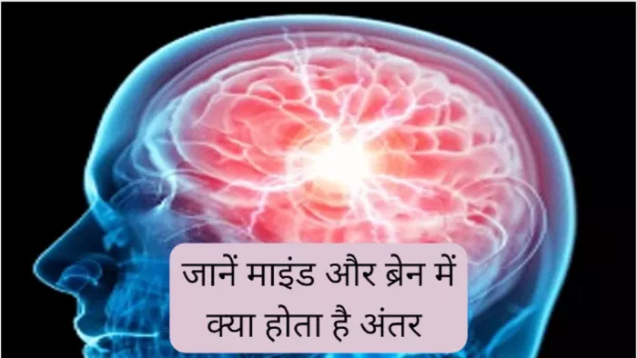 Explainer: माइंड और ब्रेन दोनों ही अलग हैं। आप यहां से आसान बिंदुओं में दोनों में अंतर समझ सकते हैं।