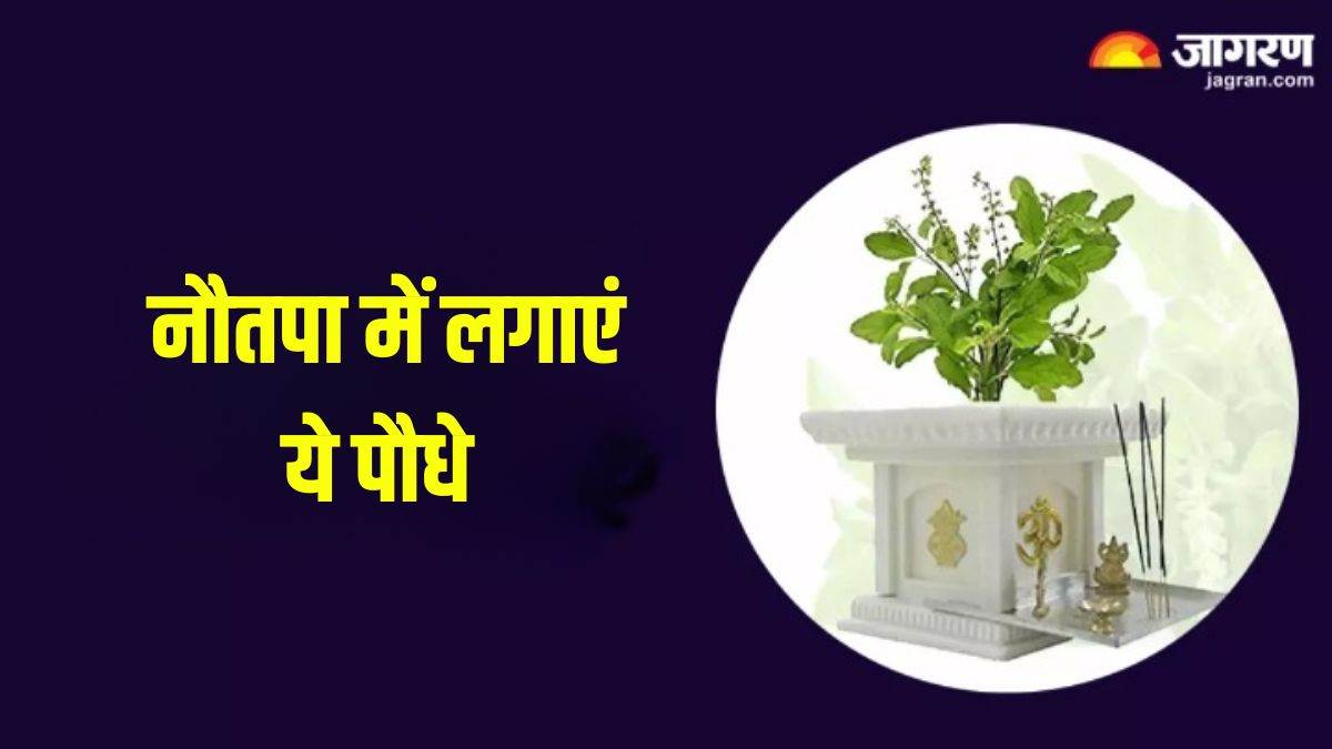 https://www.jagranimages.com/images/newimg/22052024/22_05_2024-nautapa_2024__23722750.jpg