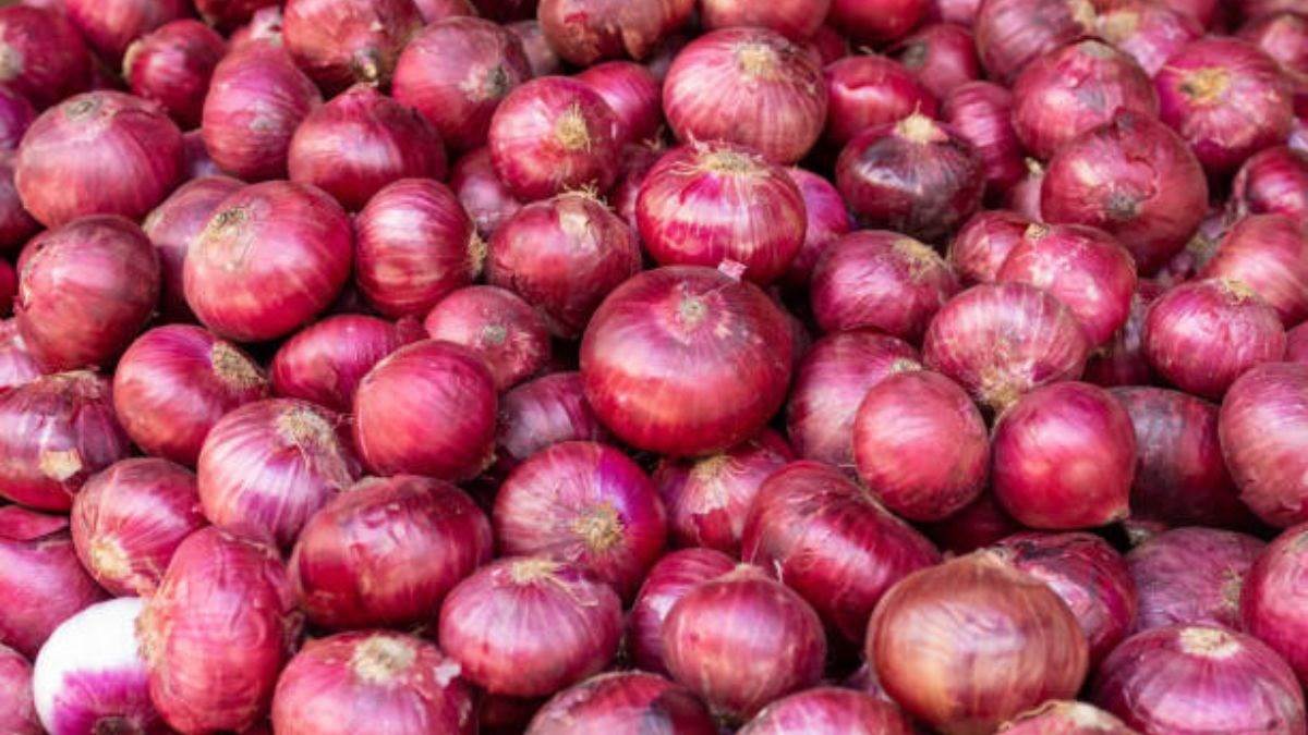 onion export india exports over 45000 tonnes onion after lifting ban