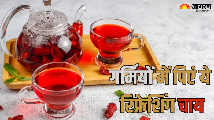 गर्मियों में इस रिफ्रेशिंग टी से करें रेगुलर चाय को रिप्लेस (Picture Credit- Freepik)