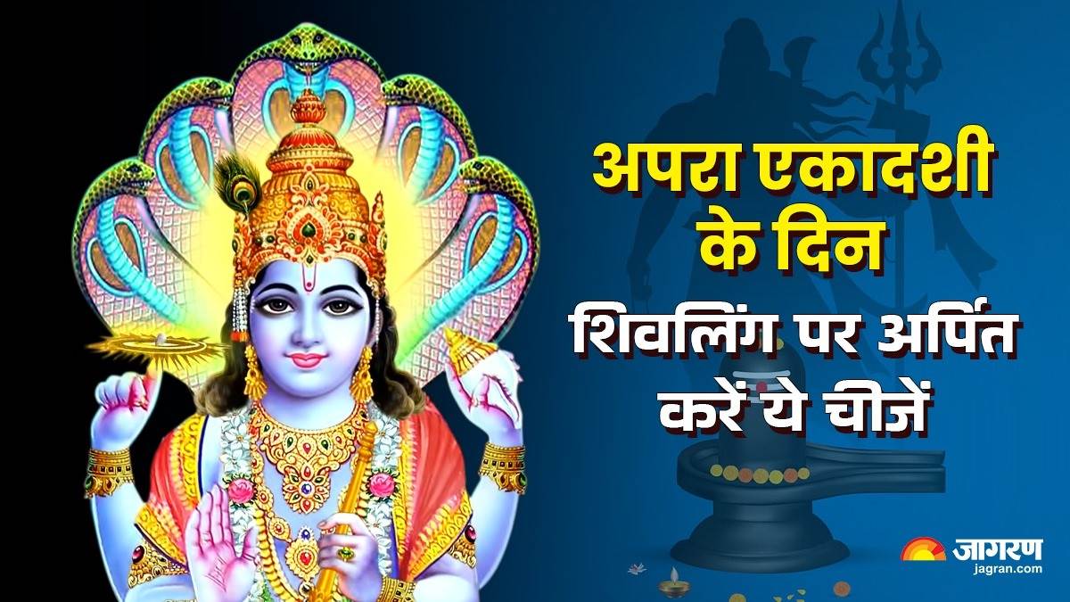 apara ekadashi 2025 offerings to shivling to invite goddess maa lakshmi