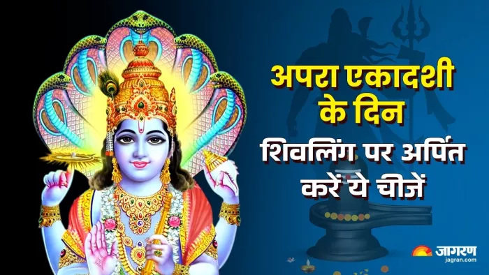 Apara Ekadashi 2025: अपरा एकादशी का धार्मिक महत्व।