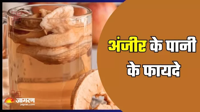 अंजीर के पानी पीने के फायदे। (Image Credit- Freepik)
