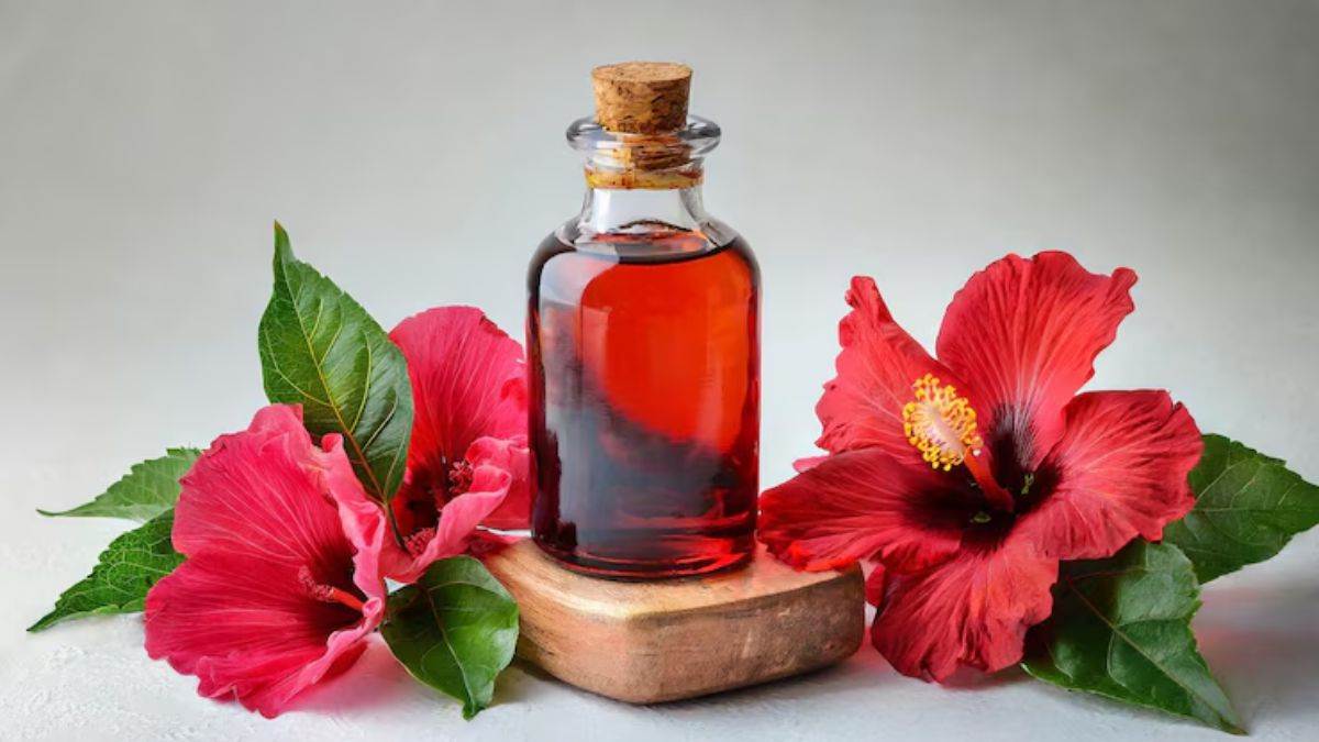 https://www.jagranimages.com/images/newimg/22052025/22_05_2025-hibiscus_toner_23943730.jpg