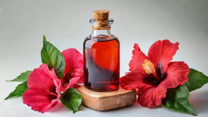 Hibiscus Toner: गुड़हल के फूलों से बनाएं फेस टोनर (Picture Courtesy: Freepik)