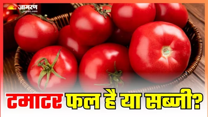आप टमाटर के बारे में क्या जानते हैं? (Image Credit- Freepik)