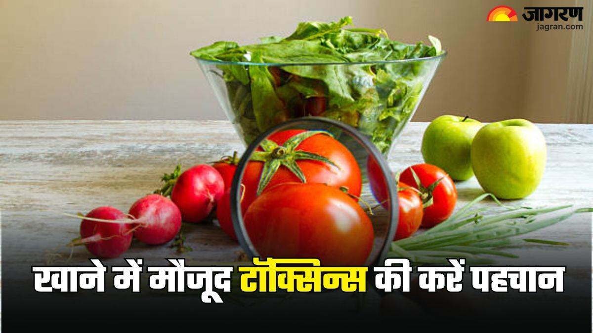 food toxins identify and avoid hidden toxins in your daily diet