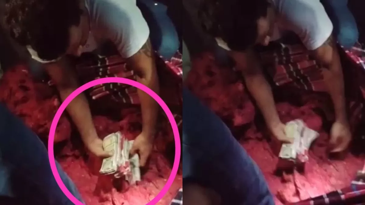 गुजरात में 36 लाख की चोरी, बिहार में चोर का पिता नोटों के बेड पर सोया मिला; पुलिस ने गद्दा फाड़ा तो उड़े होश