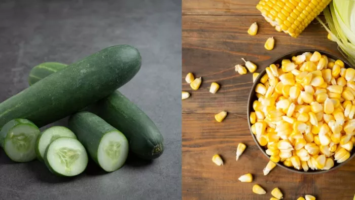Weight Loss Tips: गर्मियों में वजन कम करने के लिए खाएं ये चीज़ें