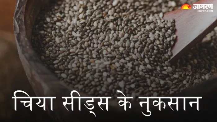 चिया सीड्स के नुकसान (Picture Credit- Freepik)