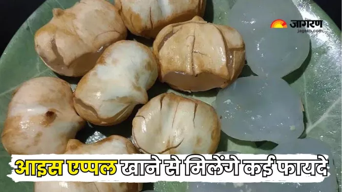 गर्मियों के लिए फायदेमंद है Ice Apple (Picture Courtesy: Instagram )