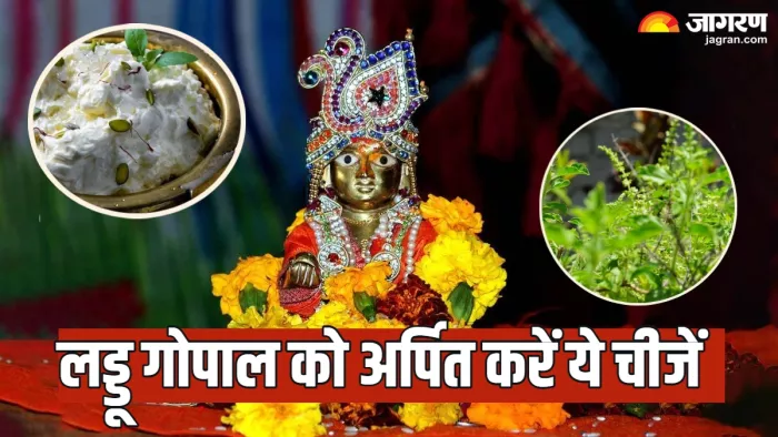 Laddu Gopal puja rules लड्डू गोपाल को अर्पित करें ये चीजें।
