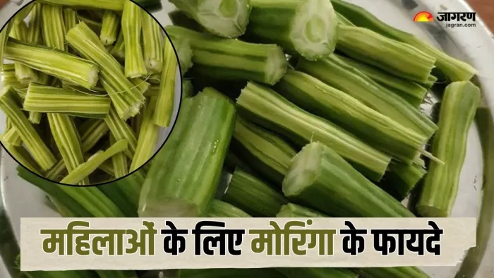 महिलाओं के लिए मोरिंगा के फायदे (Picture Credit- Freepik)