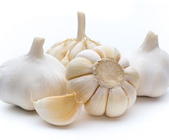 garlic%20(2)(3).jpg