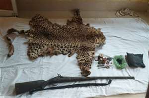 बाऊद में तेंदुआ खाल और बंदूक के साथ एक गिरफ्तार