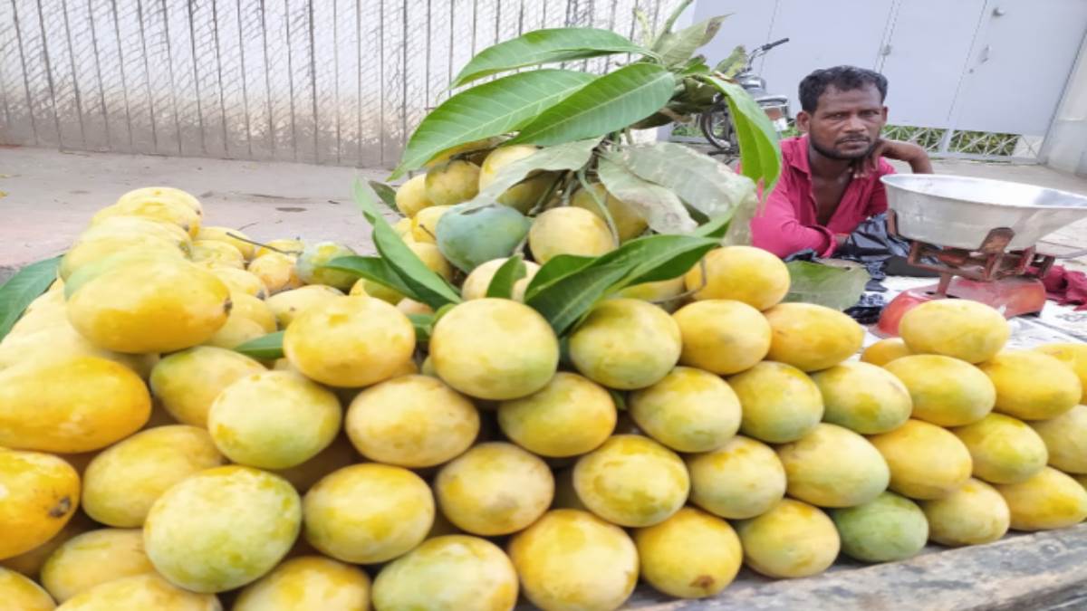 https://www.jagranimages.com/images/newimg/22072022/22_07_2022-mango_22912053.jpg