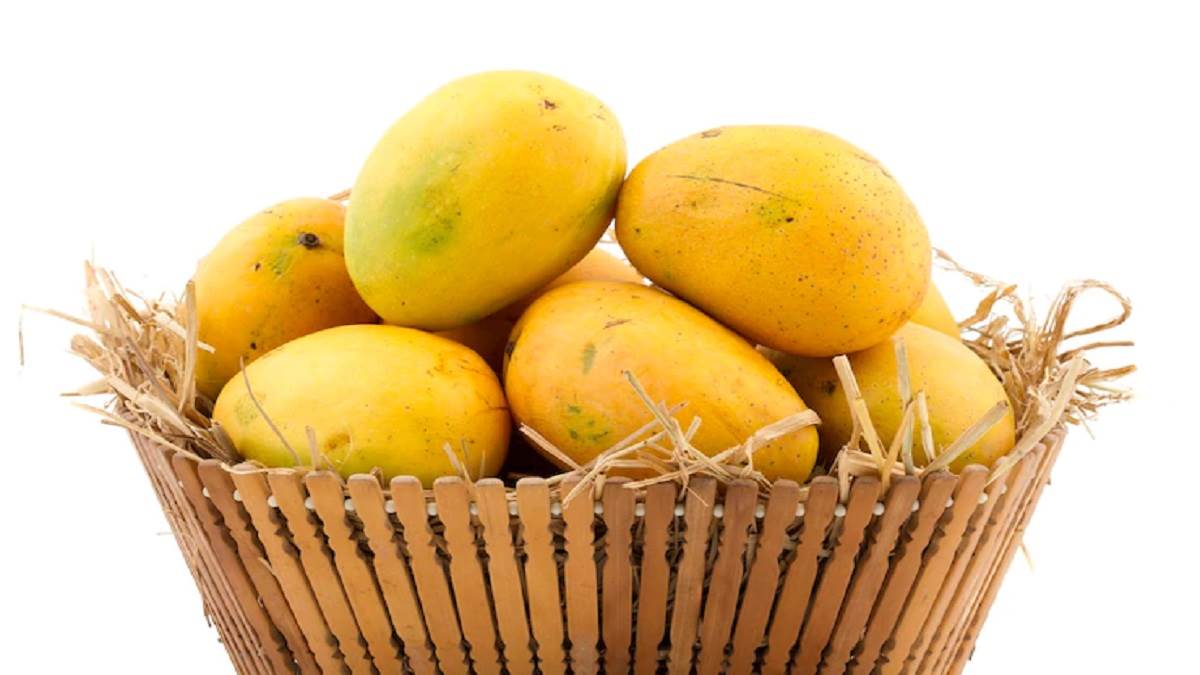 national mango day is on 22 july know the benefits of eating ripe mango