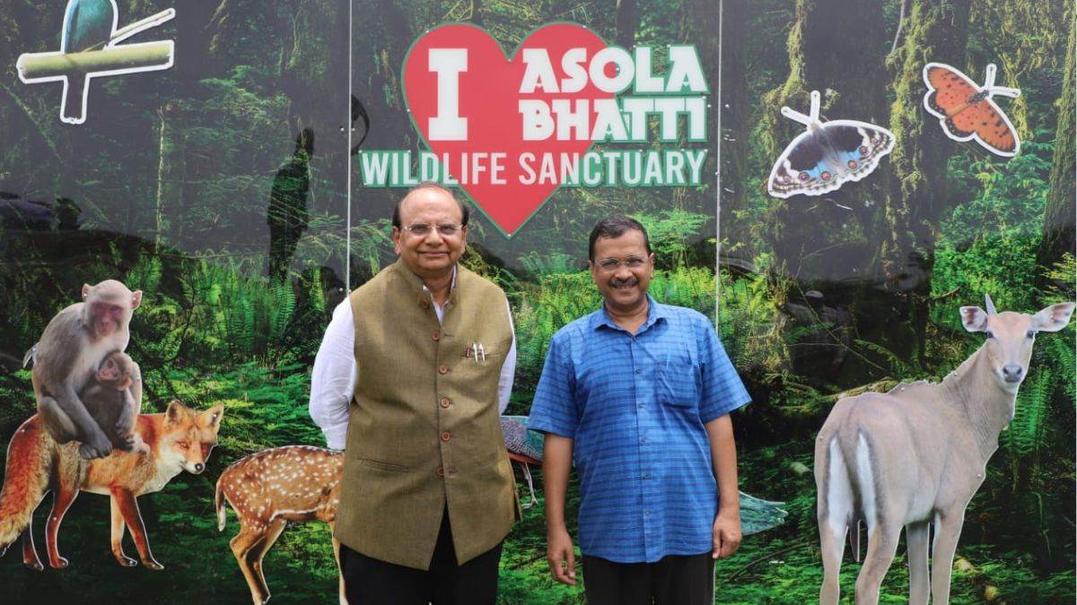 ncr delhi lg and cm kejriwal came together for the environment participated in van mahotsav