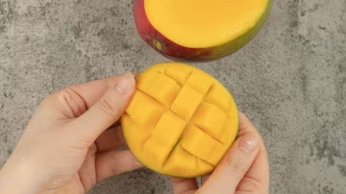 https://www.jagranimages.com/images/newimg/22072023/22_07_2023-mango_side_effects_23478847_12113385.jpg