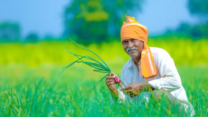 ओडिशा किसानों को सरकार का तोहफा, 1 लाख रुपये तक के ब्याज मुक्त कृषि ऋण की घोषणा