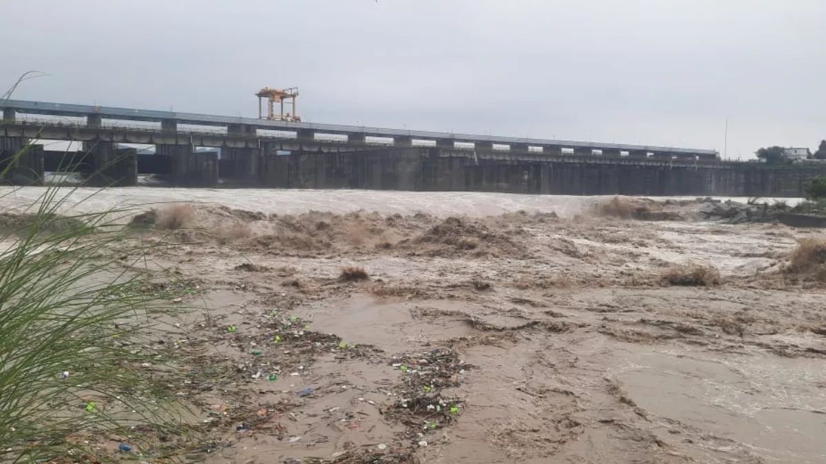 Yamunanagar: यमुना नदी फिर उफान पर, नहरों की सप्लाई बंद; हथिनी कुंड