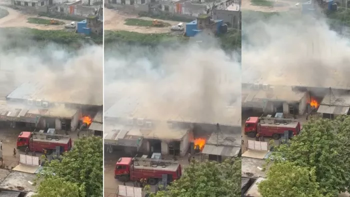 ग्रेटर नोएडा में जेप्टो कंपनी के स्टोर में लगी आग। जागरण फोटो