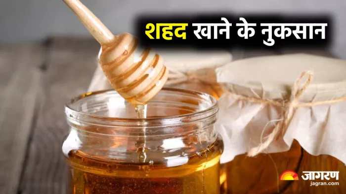 इन 4 लोगों को भूलकर भी नहीं खाना चाहिए शहद (Image Source: Freepik)