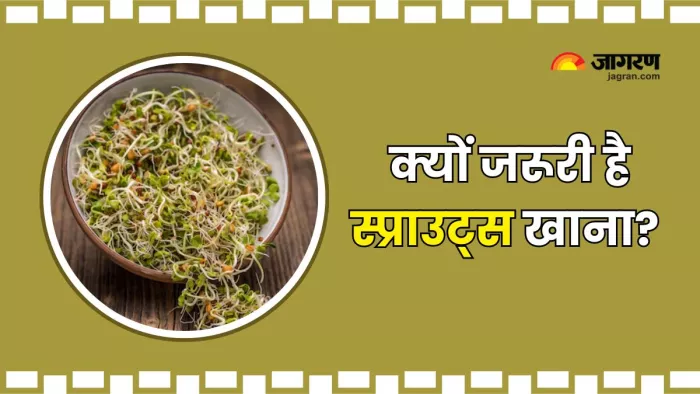 रोजाना Sprouts खाने से सेहत को मिलेंगे कई फायदे (Picture Courtesy: Freepik)