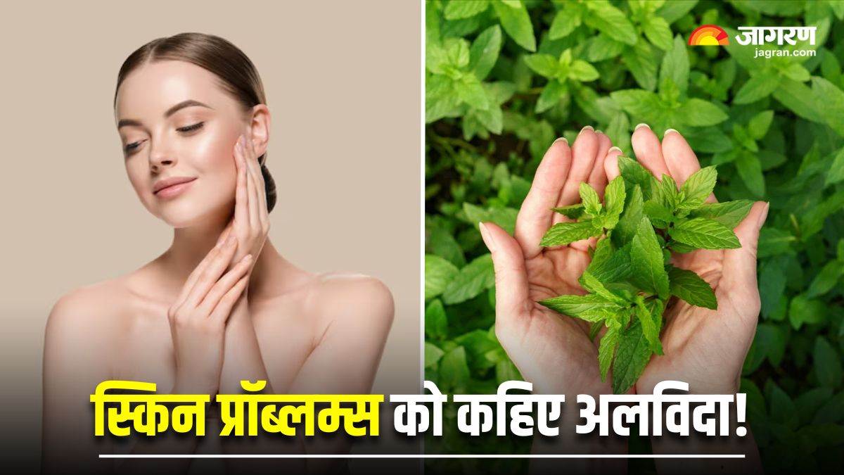 https://www.jagranimages.com/images/newimg/22072025/22_07_2025-herbal_leaves_for_skin_23990553.jpg