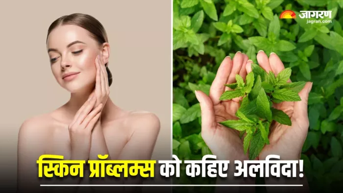हेल्दी-ग्लोइंग स्किन के लिए वरदान से कम नहीं 5 पत्तियां (Image Source: Freepik)
