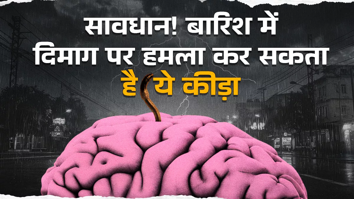 बरसात में दिमाग पर भी हमला कर सकता है ये कीड़ा, खान-पान में साफ-सफाई बचाएगा संक्रमण का खतरा