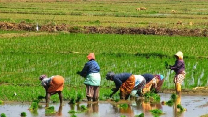 अधर में लटकी कृषि नीति पर विधानसभा की कमेटी आज करेगी चर्चा (file photo)
